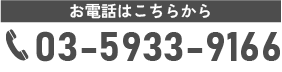 03-5933-9166